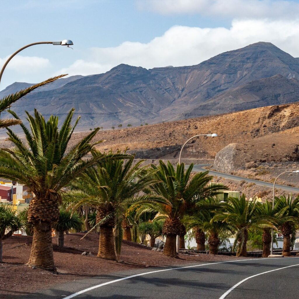 Projekt bez nazwy (27)